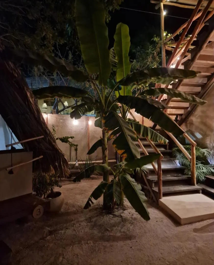 Luna Y Sol Glamping Holbox